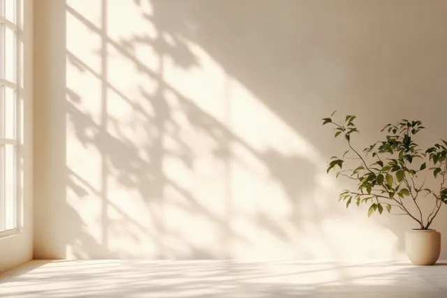 Peach beige room corner with a window, soft shadow patterns on the floor, and a potted plant.