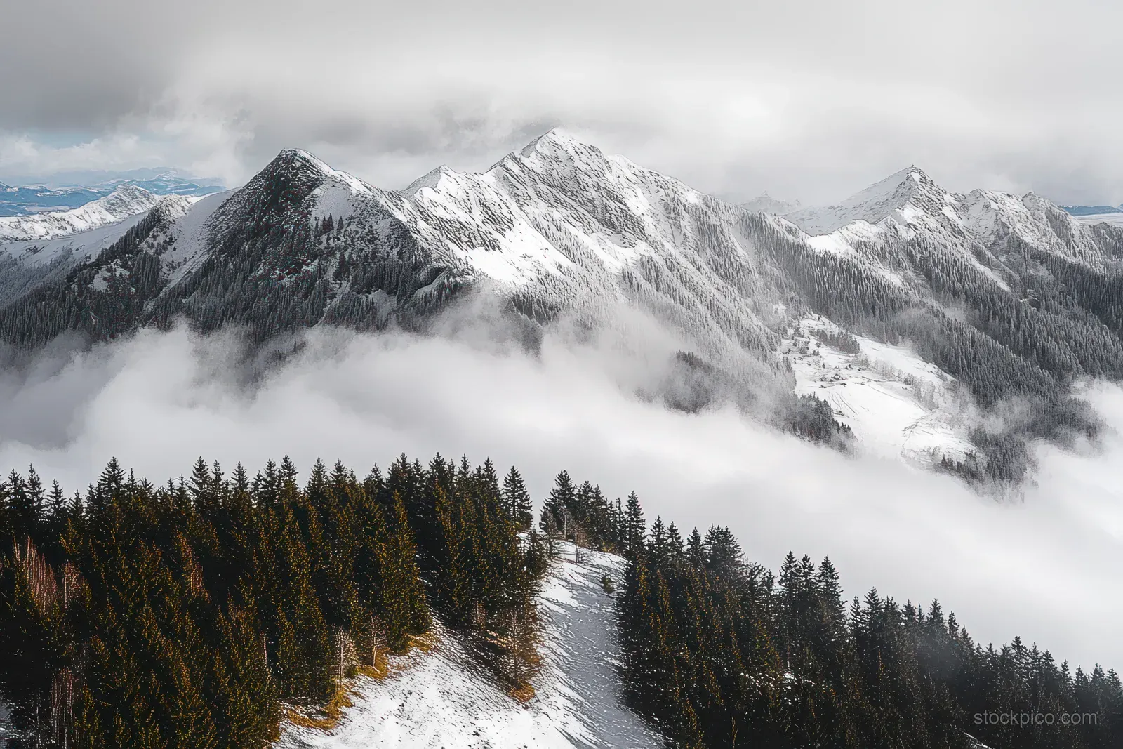 Snowy peaks and a dark evergreen forest appear below drifting mist under a cloudy winter sky.