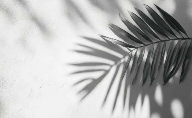 Dark palm fronds cast soft shadows on a textured white wall in bright daylight.