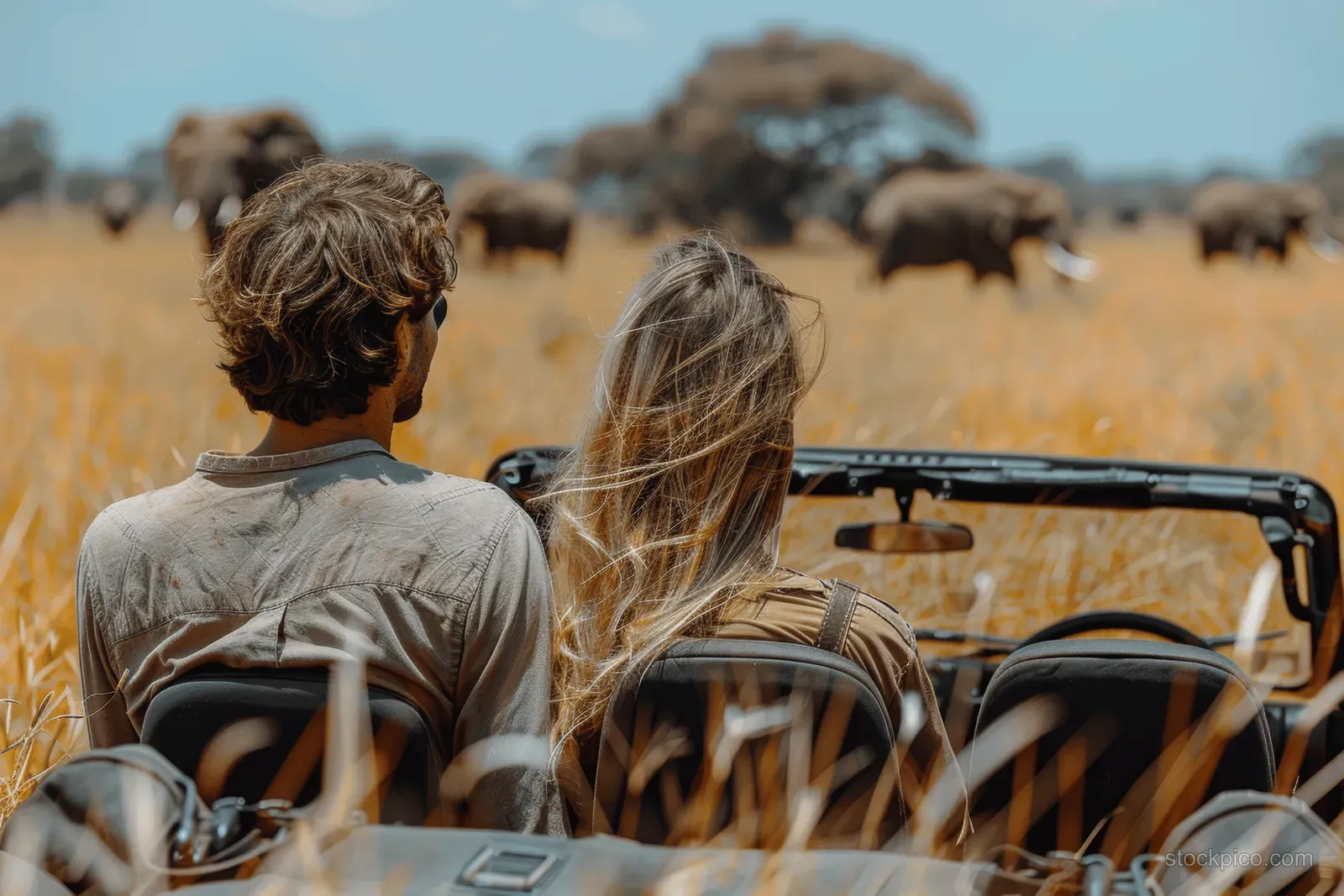 Young couple sits in an open safari jeep watching elephants walking through golden savanna grass.