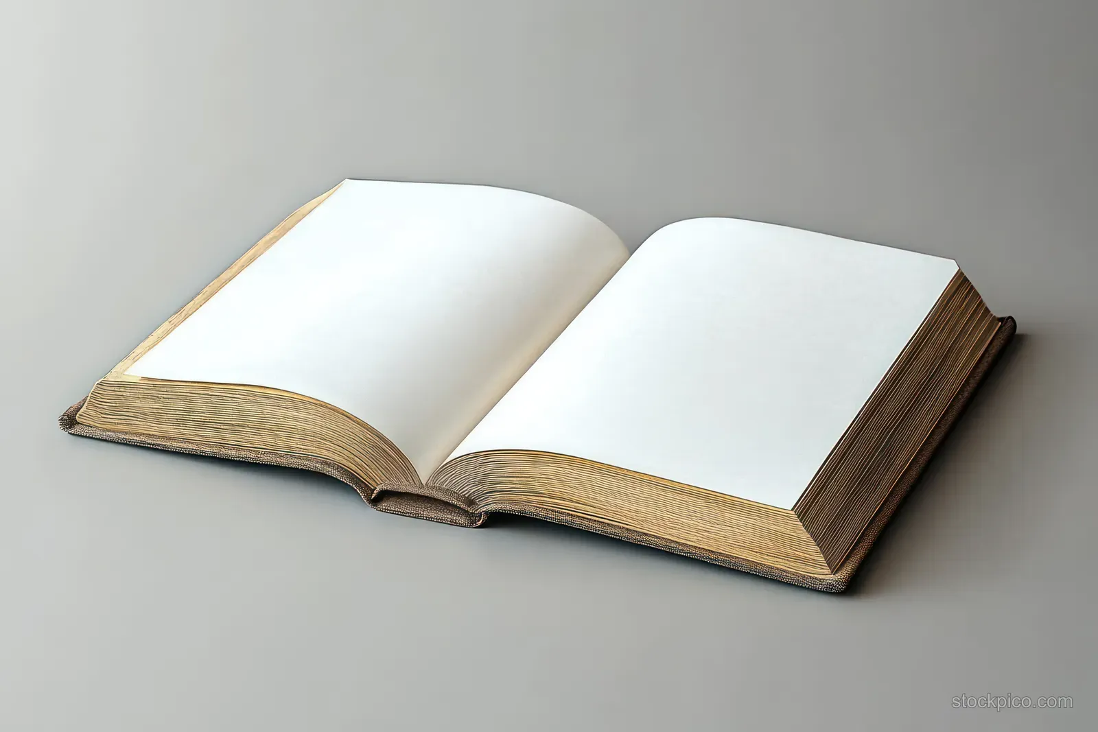 An open hardcover book with blank pages and a closed book on a soft gray background.