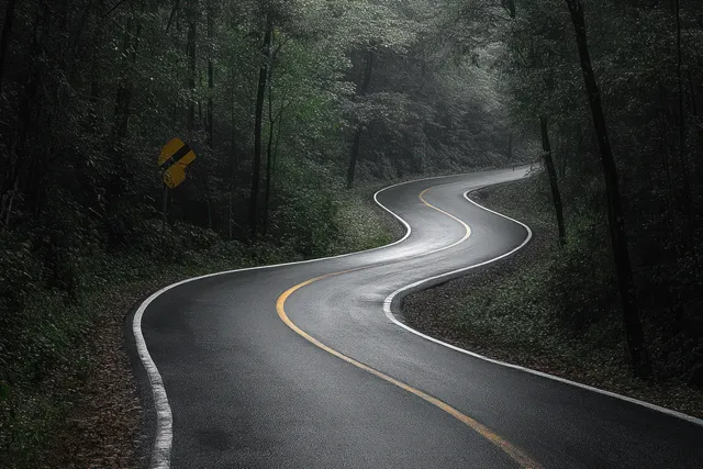 An empty wet asphalt road curves through a dense green forest beside a yellow curve warning sign under overcast skies.