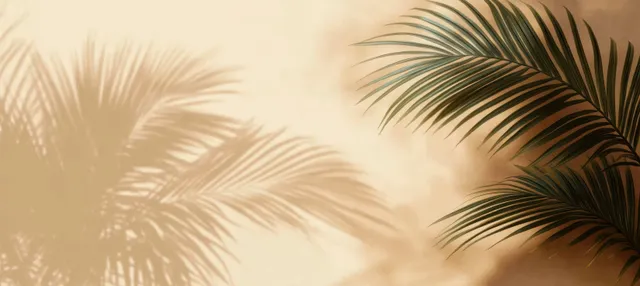 Palm leaf shadows stretch across a warm beige wall in soft natural sunlight