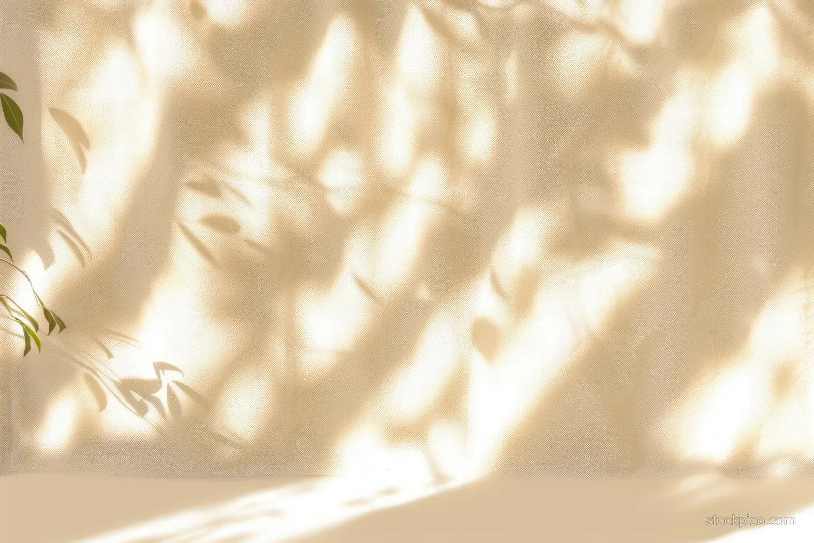 Soft sunlight casts delicate leaf shadows onto a smooth beige wall.