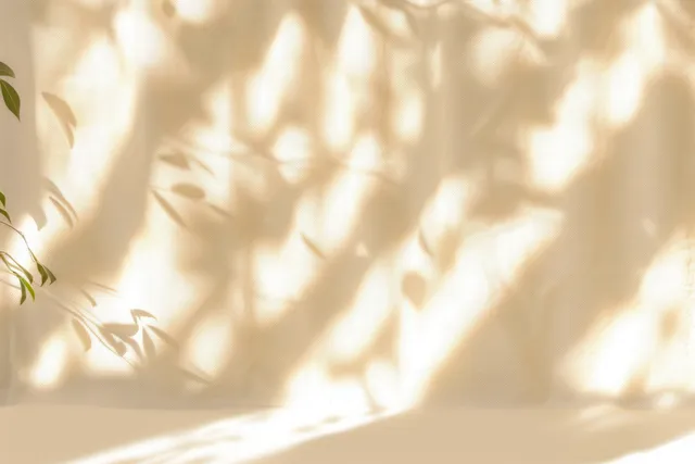 Soft sunlight and leaf shadows ripple across a smooth beige wall