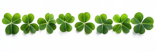 Row of vibrant green four-leaf clovers with visible leaf veins on a white background
