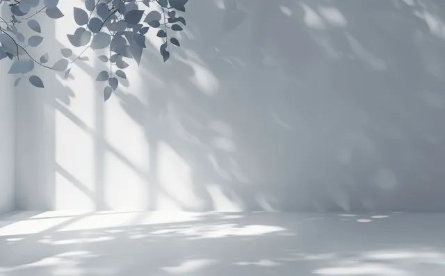 Sunlit window and tree-leaf shadows create dappled pattern on clean white wall surface