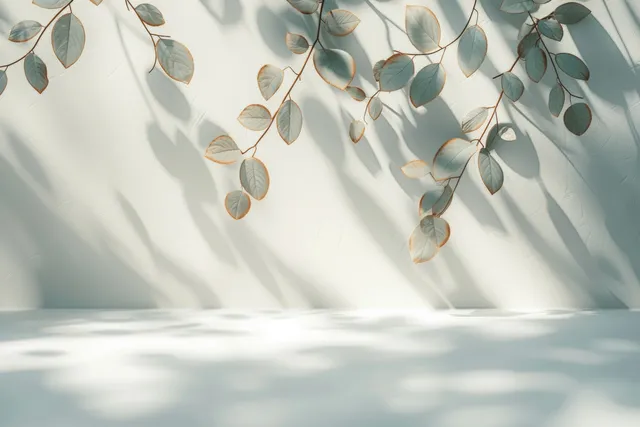 Eucalyptus leaves cast soft shadows across a white wall and sunlit floor.
