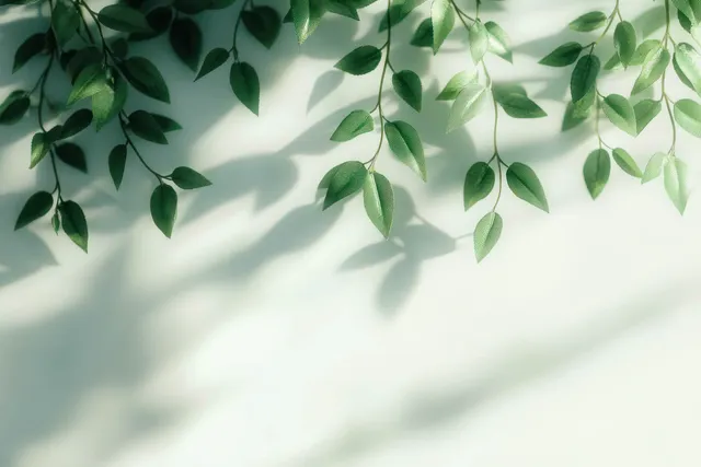 Green leaves casting soft shadows on a light natural background