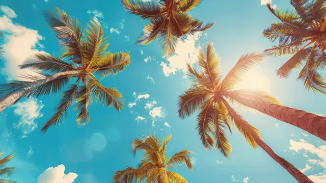 Upward vintage view of palm trees against bright blue sky with glowing sun rays