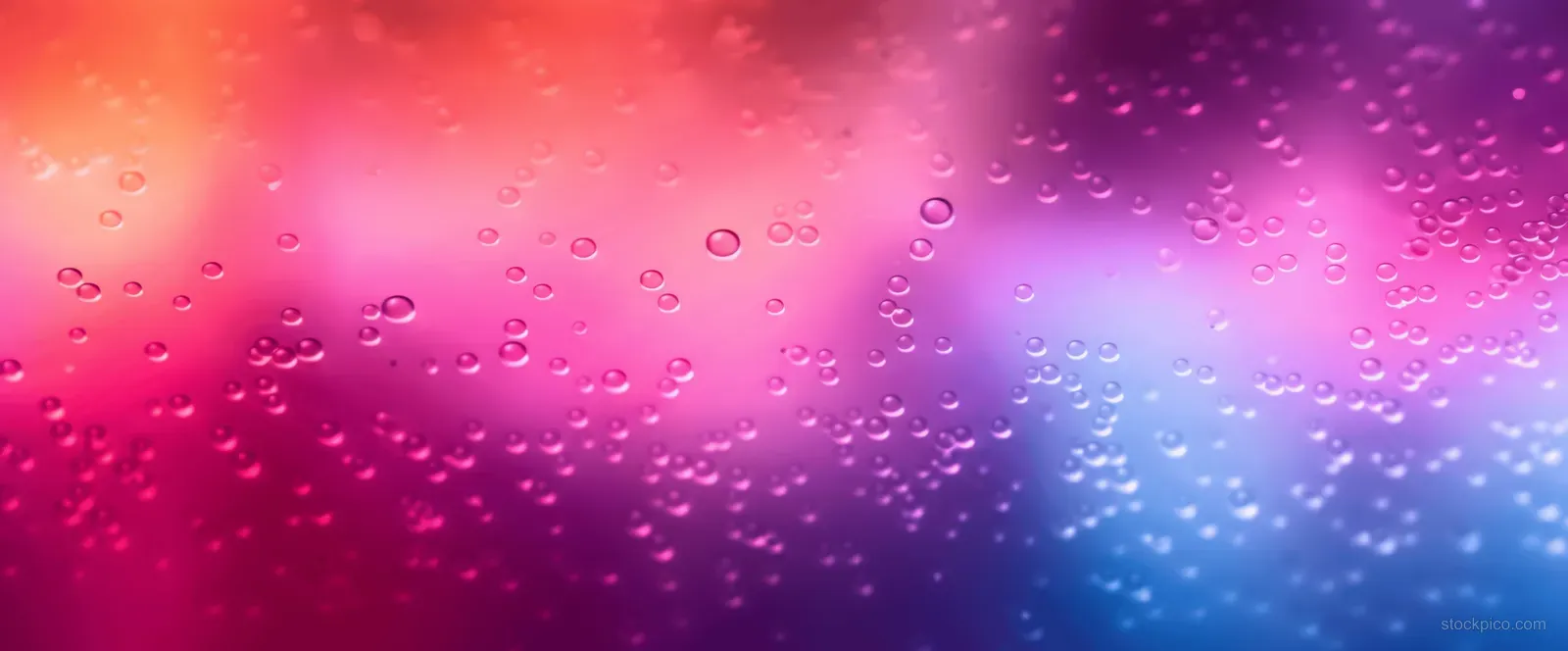 Gradient background from pink to blue with purple center glow and many visible water droplets across the surface.