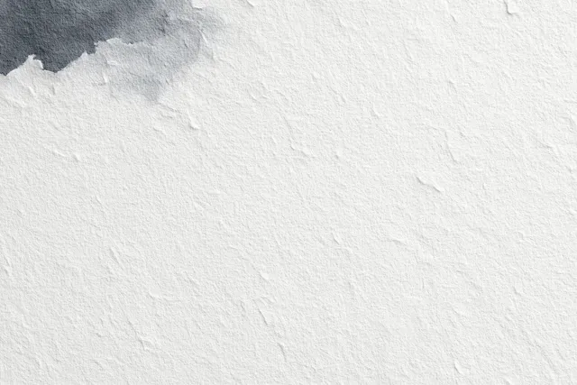 Textured white paper background with soft natural light sumi-e style wash and subtle shadows with Copy Space For Text