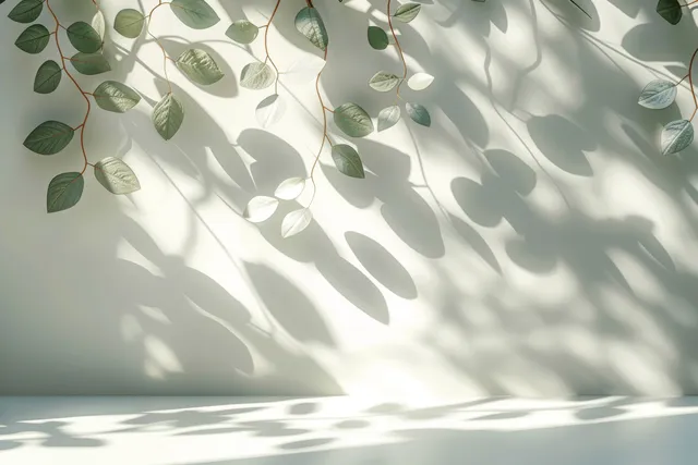 Soft foliage shadows cast across a white wall with bright sunlight