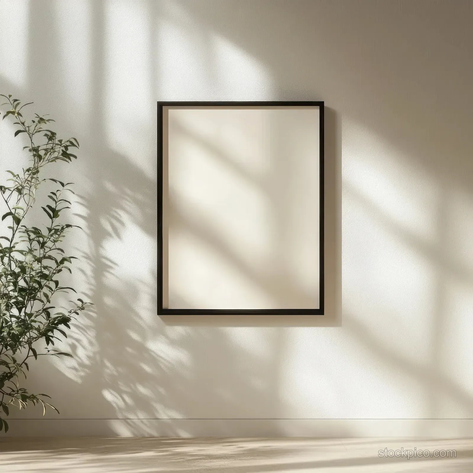 Empty black-framed picture on a light wall with a leafy plant casting soft shadows from natural sunlight.