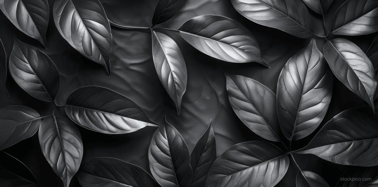 Abstract dark foliage background with textured black leaves and soft satin ripples, ideal for atmospheric design themes.