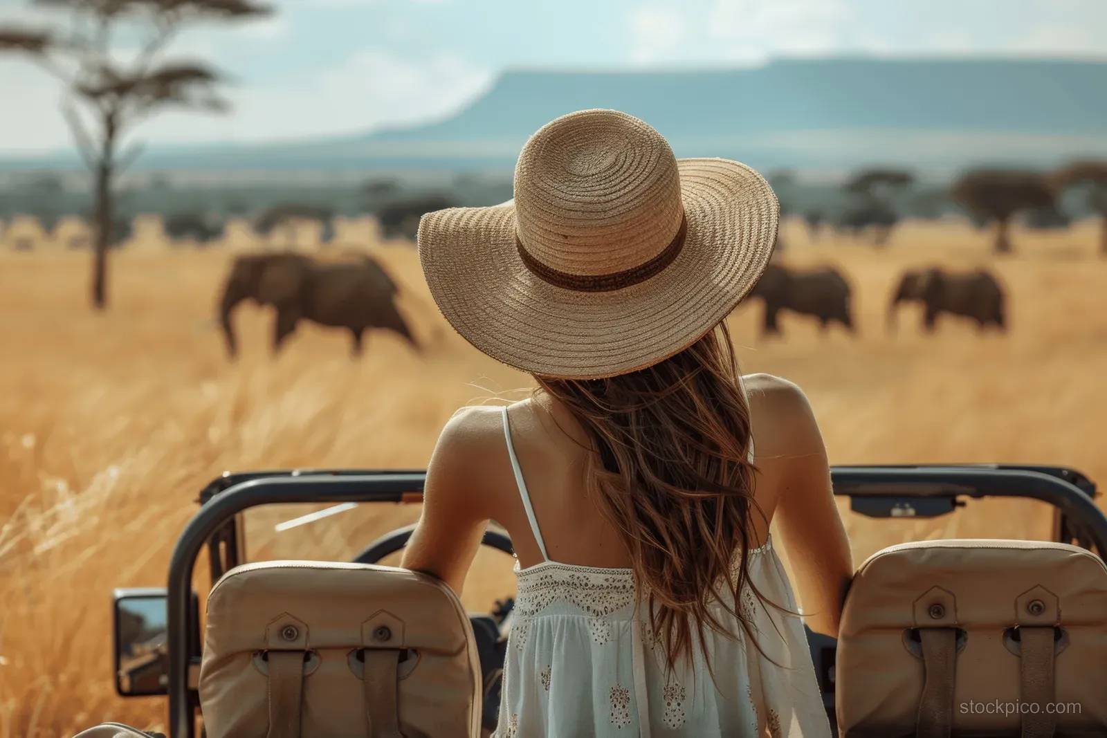 Woman in a straw hat sits in an open safari jeep facing elephants on a sunlit African savanna.