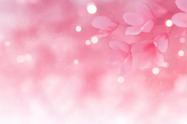 Soft pink flower petals hover above a pastel pink bokeh background with glowing light spots.