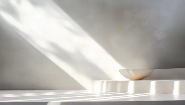 Soft dappled light and shadows fall across a white minimalist interior surface.