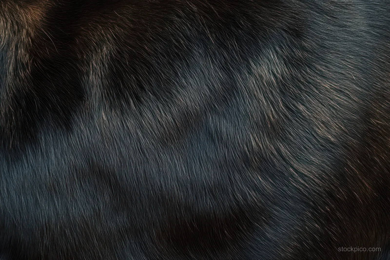 Close-up of dark animal fur with visible fine hair strands and subtle brown-black color variations.