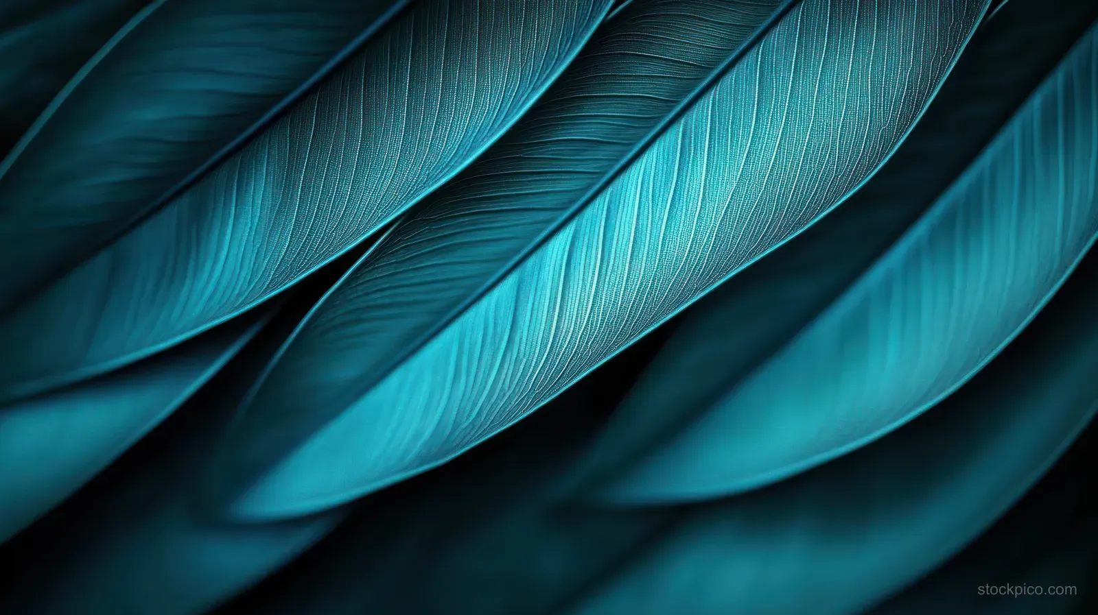 Overlapping blue bird feathers in close-up showing fine textured lines and smooth curved layers.