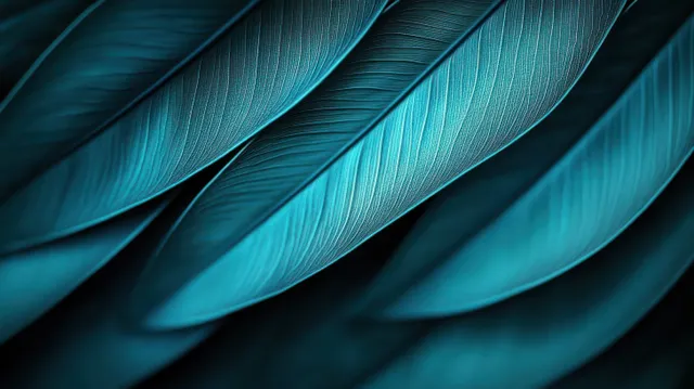 Close-up of blue bird feathers overlapping, showing fine texture and curved layered detail