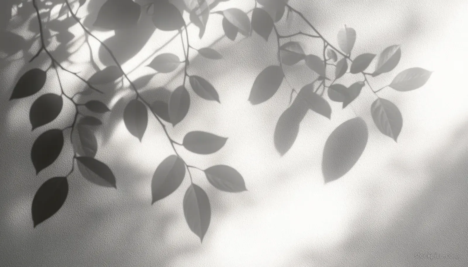 Leafy plant branches cast soft shadows on a light textured wall in natural light.