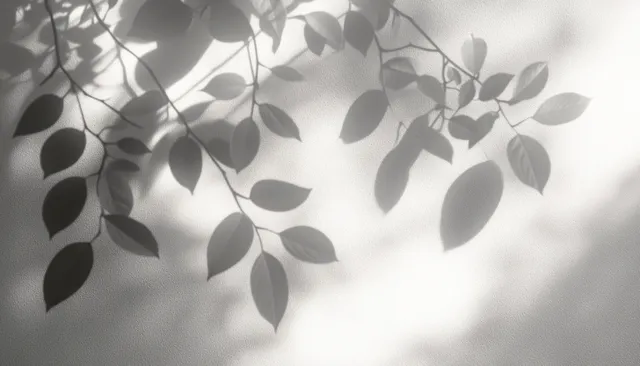 Leafy plant shadows sway across a textured light wall with soft branching silhouettes