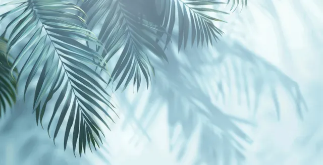 Palm leaf shadows ripple across a white wall with soft blue gray light