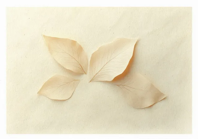 Four translucent dry leaves rest on a beige paper background with visible veins and soft shadows.