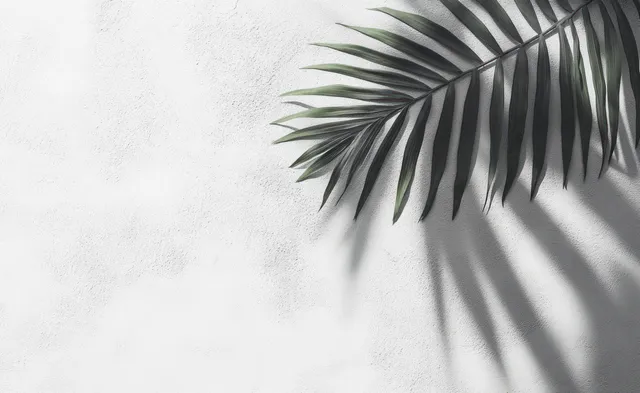 Green palm leaf appears against a textured white wall with sunlit shadows spreading across it.