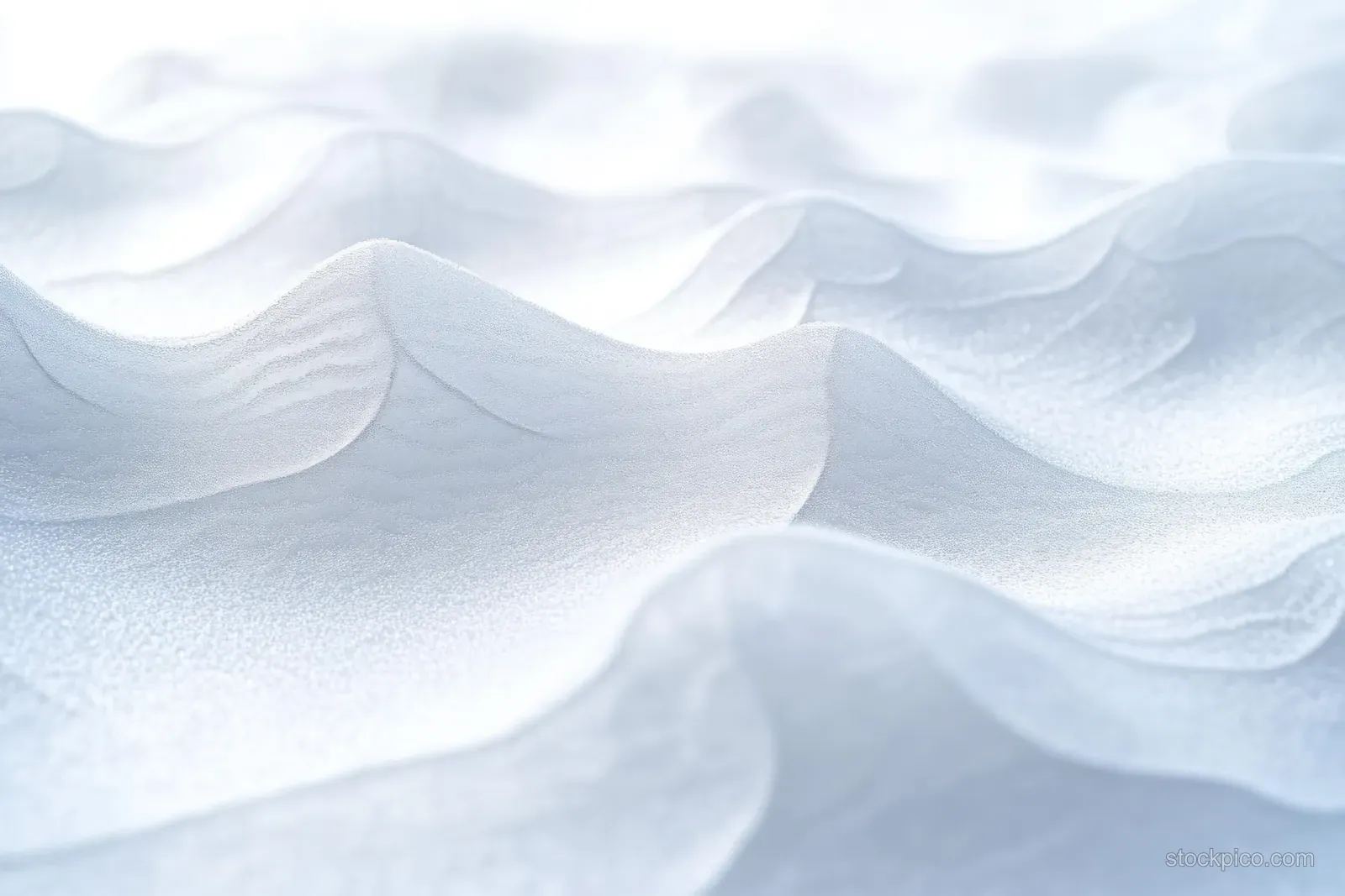 Soft snow dunes with smooth undulating curves and pale winter light fill the landscape.