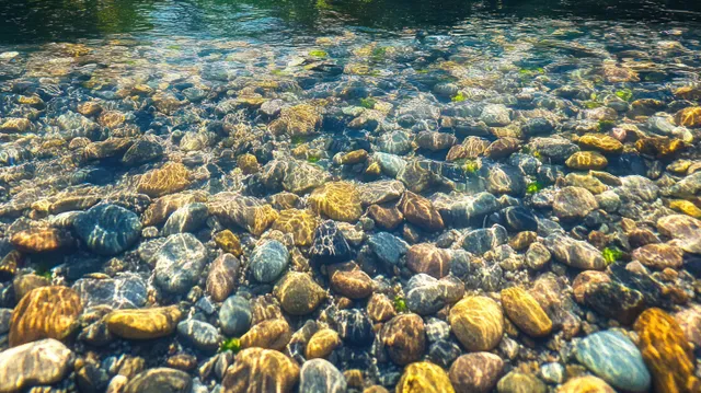 Sunlit clear shallow river water flowing over multicolored smooth stones and pebbles