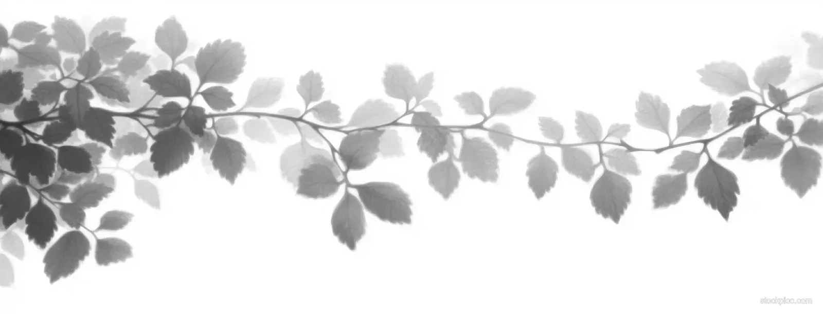 Thin horizontal branch with semi-transparent leaf clusters forming a soft gradient silhouette on a white background.