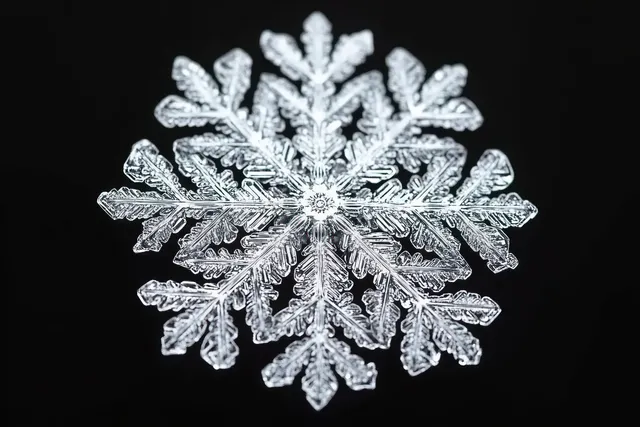A single detailed snowflake with translucent, symmetrical ice crystal patterns centered on a black background.