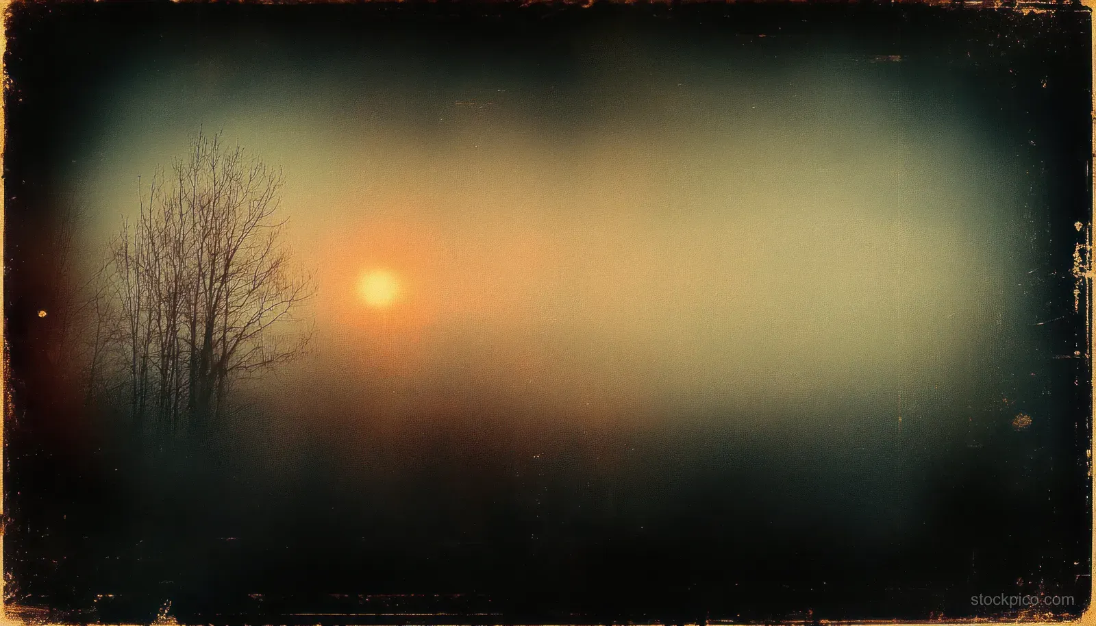 Bare tree silhouette at dusk framed by a vintage film border with warm light leaks and grainy texture.