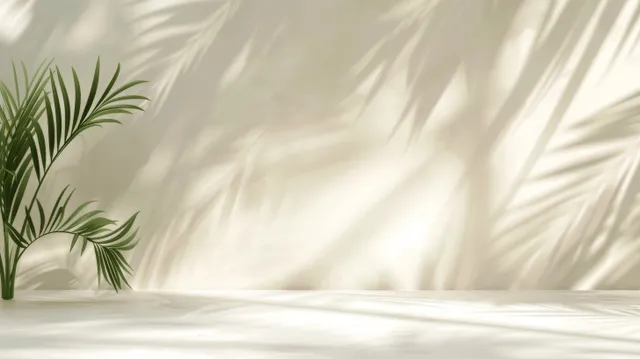 Palm leaf shadow patterns on light cream wall with soft studio rays