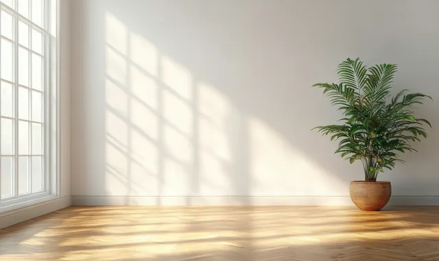 Sunlight from a large window casts shadows on a wooden floor beside a single green potted plant on a white wall.