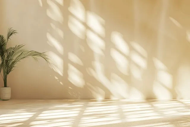 Sunlit empty room with beige wall, window light shadows, and potted plant