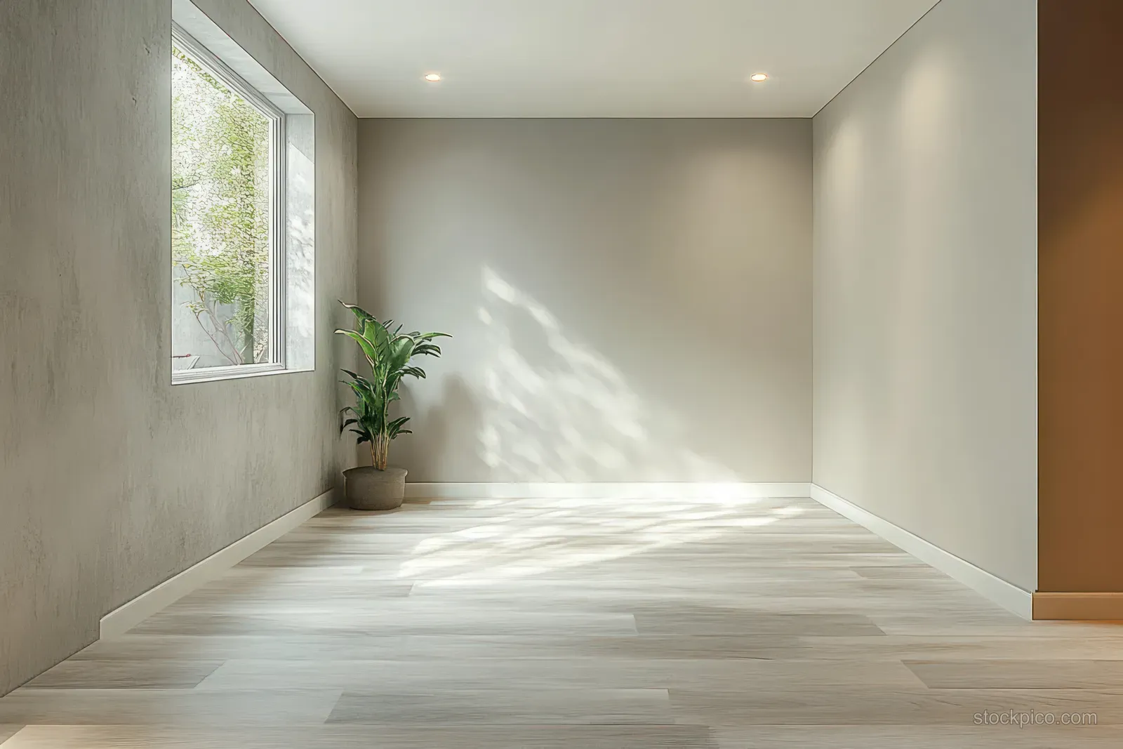 Minimalist room interior with light wooden floor, neutral walls, a potted plant in the corner, and sunlight shadows from a window.
