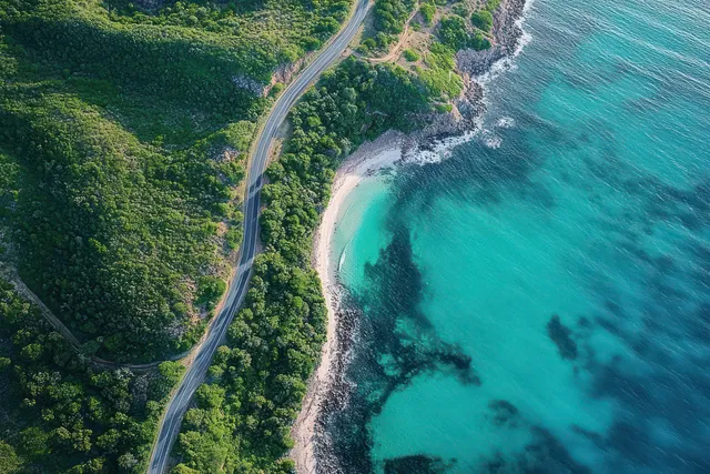 Aerial view of a curved road beside dense green forest leading to a white sandy beach and turquoise ocean with dark seaweed patches.