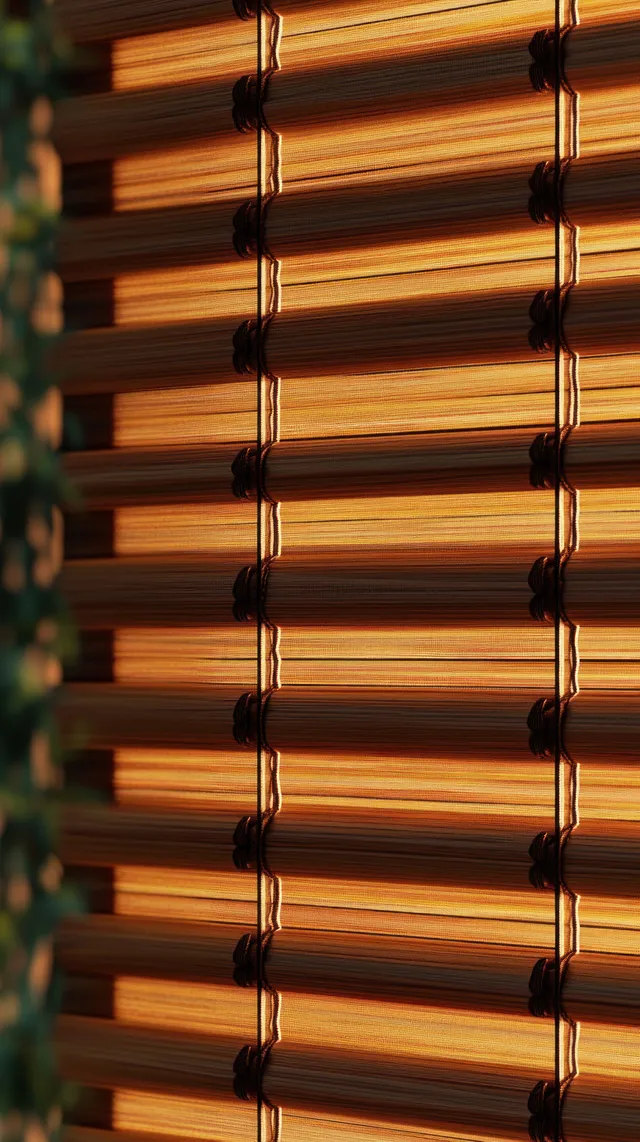 Warm sunlight forms striped shadows on a vertical wooden shutter beside a blurred green leafy plant.