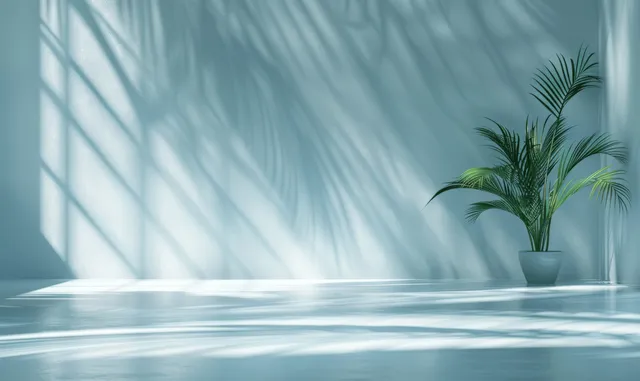 Light blue wall with palm leaf shadows and a small potted plant near a clean tabletop surface.