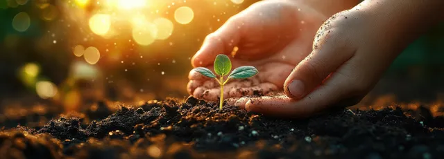Hands planting a tiny green sprout in dark soil under warm sunlight