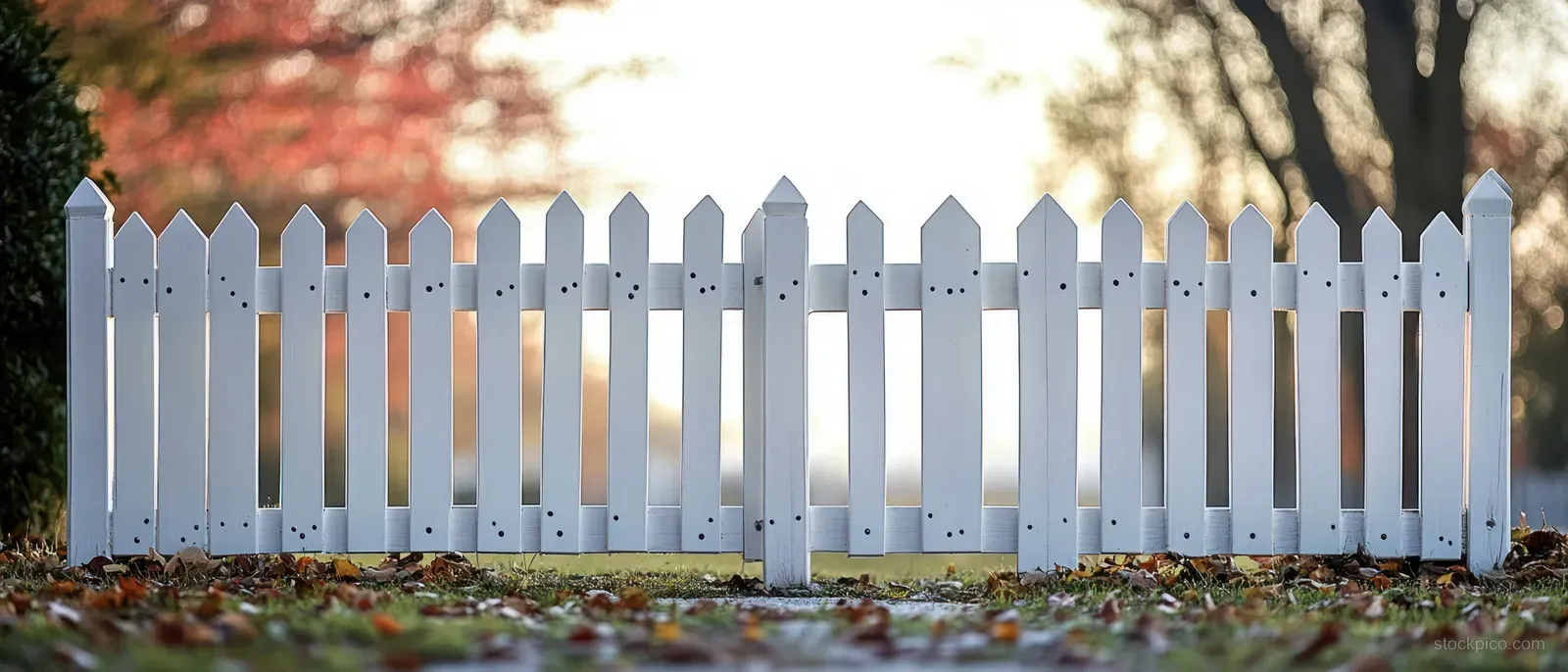 White pointed picket fence in a leaf-covered yard with blurred trees and bright autumn sunlight behind.