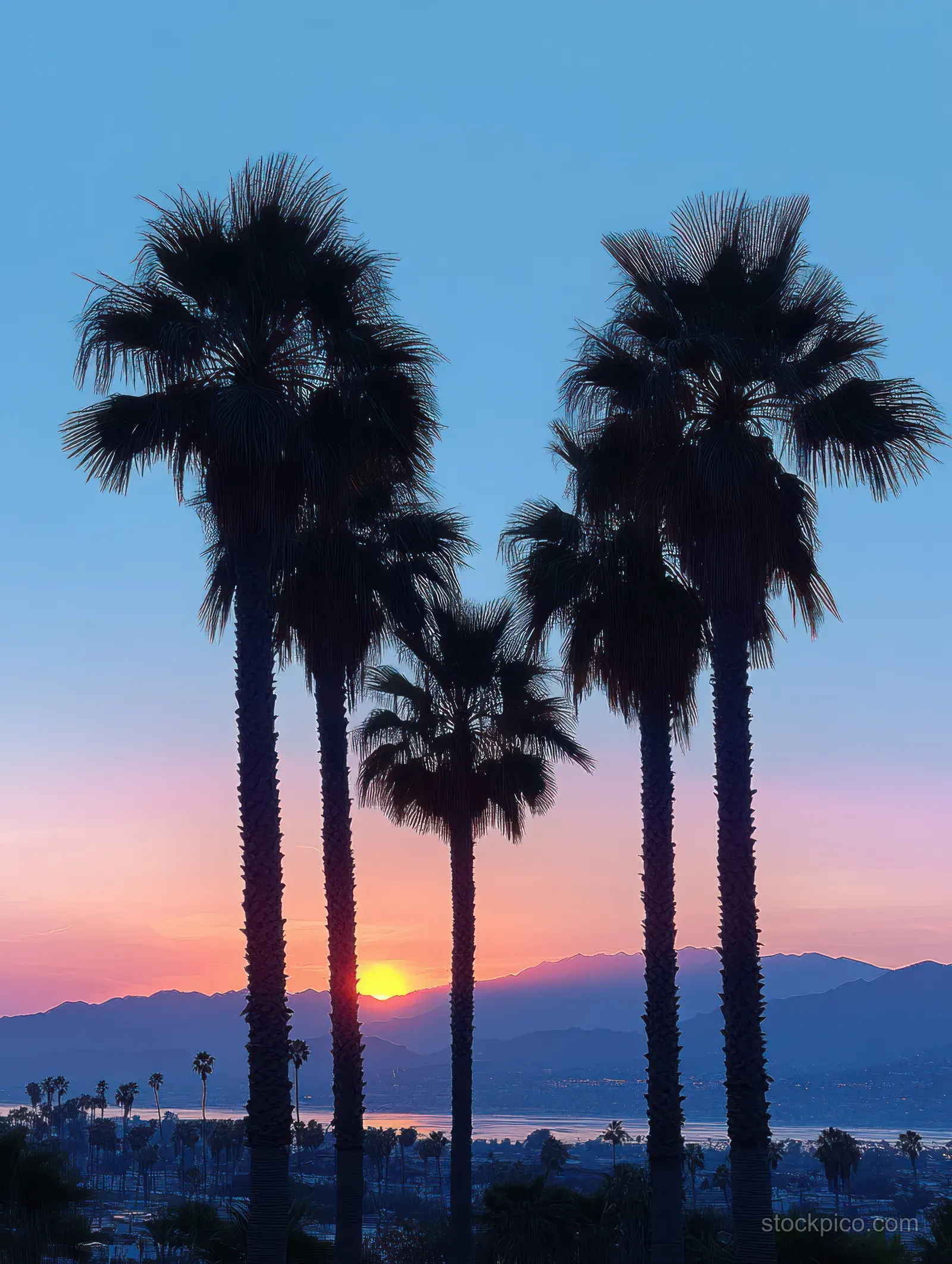 Silhouetted palm trees against a colorful sunset sky with distant mountains and a coastal city below.