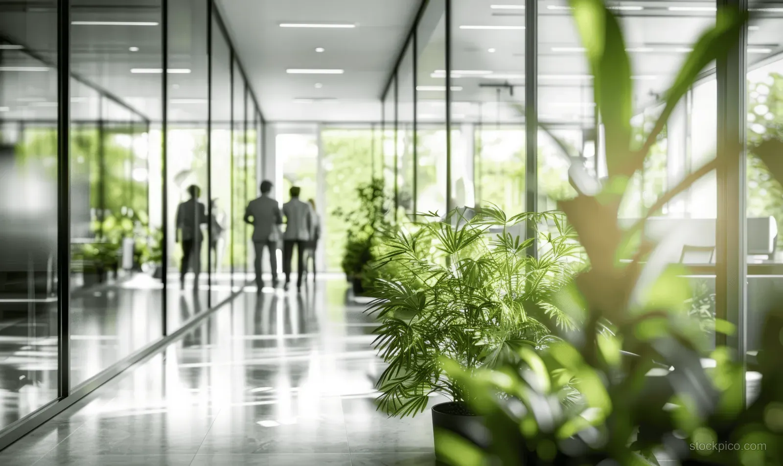 Business people walk through a glass-walled office corridor with green plants and sunlit floors.
