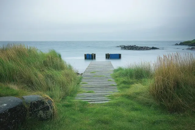 A wooden pier leads into calm ocean water beside tall coastal grass and rocks under grey overcast clouds.