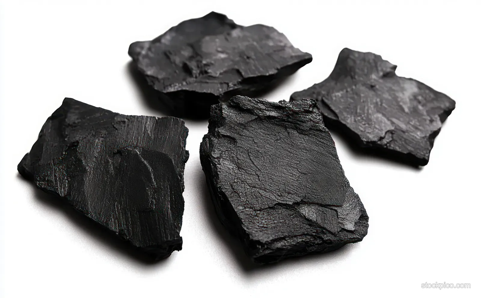 Four irregular black shale rock fragments with rough matte surfaces arranged on a white background.