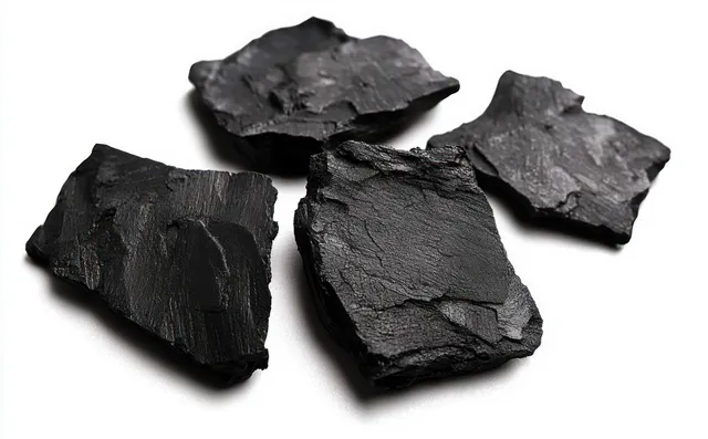 Four irregular black shale rock fragments with rough matte surfaces arranged on a white background.