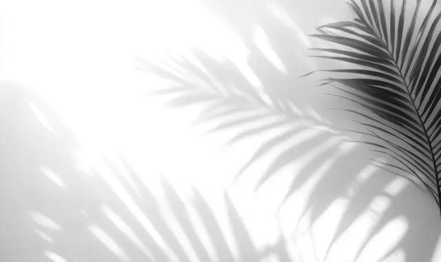 Palm leaf shadows drift across a white wall, creating calm light-and-shadow patterns indoors